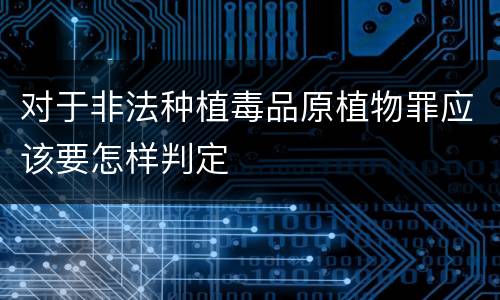 对于非法种植毒品原植物罪应该要怎样判定
