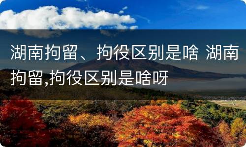 湖南拘留、拘役区别是啥 湖南拘留,拘役区别是啥呀