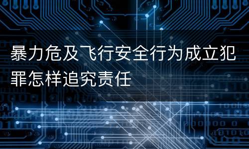 暴力危及飞行安全行为成立犯罪怎样追究责任