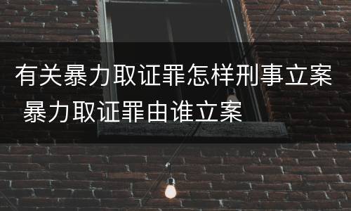 有关暴力取证罪怎样刑事立案 暴力取证罪由谁立案