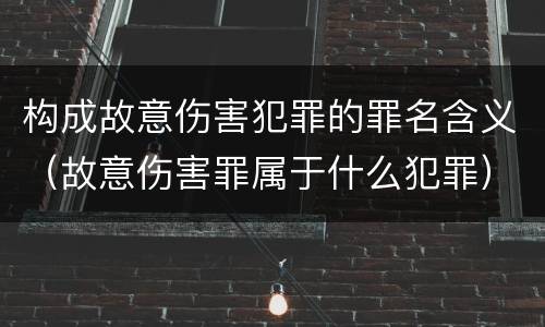构成故意伤害犯罪的罪名含义（故意伤害罪属于什么犯罪）