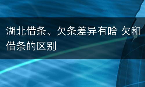 湖北借条、欠条差异有啥 欠和借条的区别