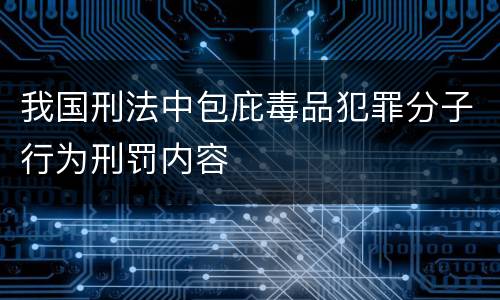 我国刑法中包庇毒品犯罪分子行为刑罚内容