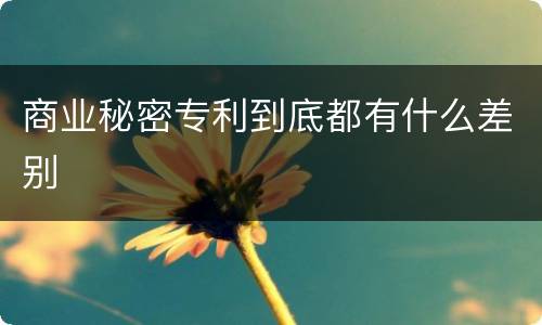 商业秘密专利到底都有什么差别
