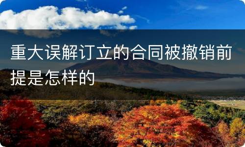 重大误解订立的合同被撤销前提是怎样的