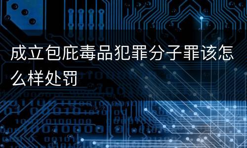 成立包庇毒品犯罪分子罪该怎么样处罚