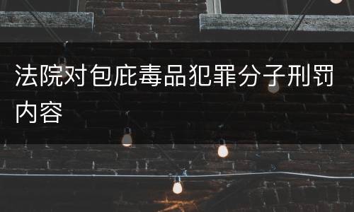 法院对包庇毒品犯罪分子刑罚内容