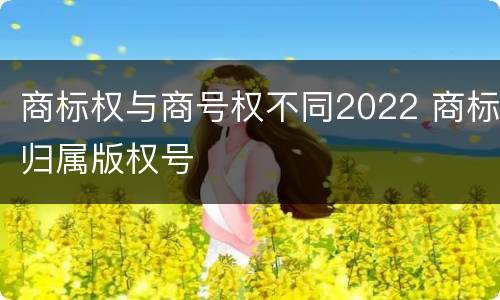 商标权与商号权不同2022 商标归属版权号