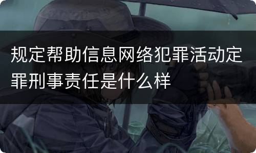 规定帮助信息网络犯罪活动定罪刑事责任是什么样