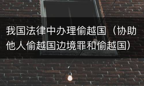 我国法律中办理偷越国（协助他人偷越国边境罪和偷越国）