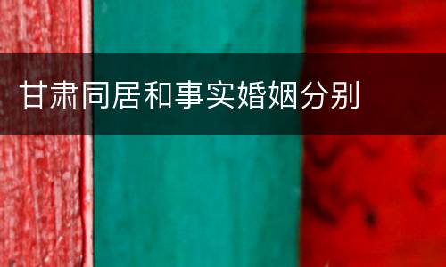 甘肃同居和事实婚姻分别