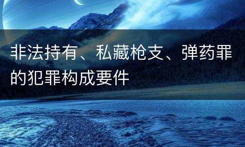 非法持有、私藏枪支、弹药罪的犯罪构成要件