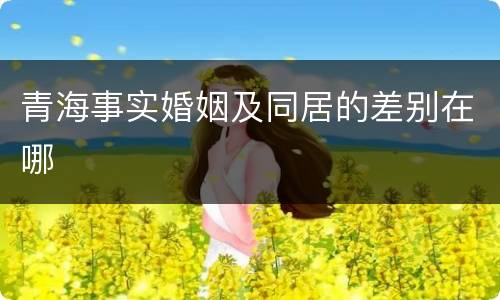 青海事实婚姻及同居的差别在哪