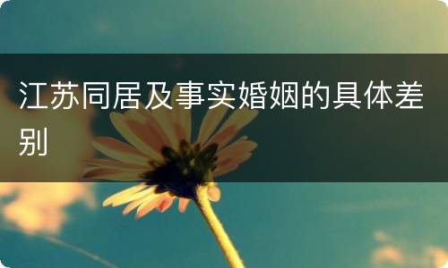 江苏同居及事实婚姻的具体差别