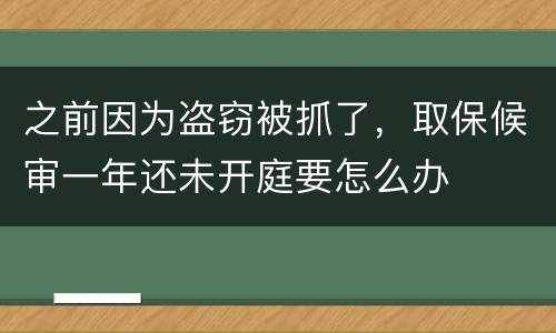 之前因为盗窃被抓了，取保候审一年还未开庭要怎么办