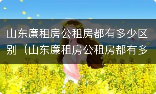 山东廉租房公租房都有多少区别（山东廉租房公租房都有多少区别啊）