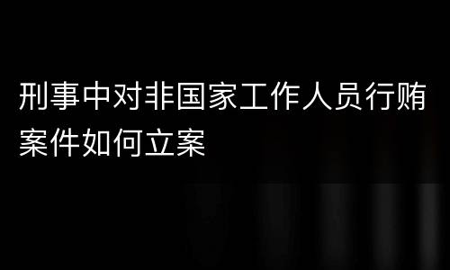 刑事中对非国家工作人员行贿案件如何立案