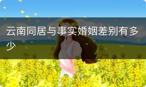 云南同居与事实婚姻差别有多少