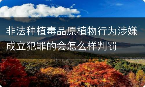 非法种植毒品原植物行为涉嫌成立犯罪的会怎么样判罚