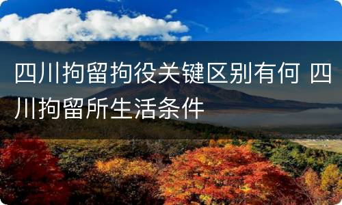 四川拘留拘役关键区别有何 四川拘留所生活条件