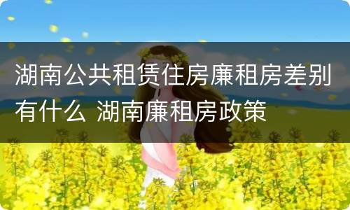 湖南公共租赁住房廉租房差别有什么 湖南廉租房政策