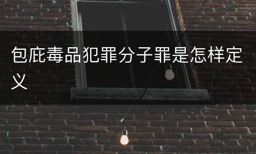 包庇毒品犯罪分子罪是怎样定义