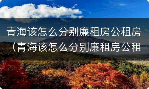 青海该怎么分别廉租房公租房（青海该怎么分别廉租房公租房和私租房）