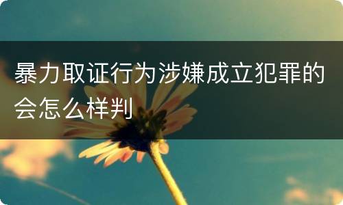 暴力取证行为涉嫌成立犯罪的会怎么样判