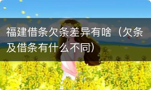 福建借条欠条差异有啥（欠条及借条有什么不同）