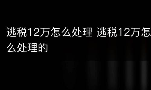 逃税12万怎么处理 逃税12万怎么处理的