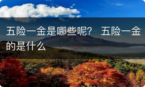 五险一金是哪些呢？ 五险一金的是什么