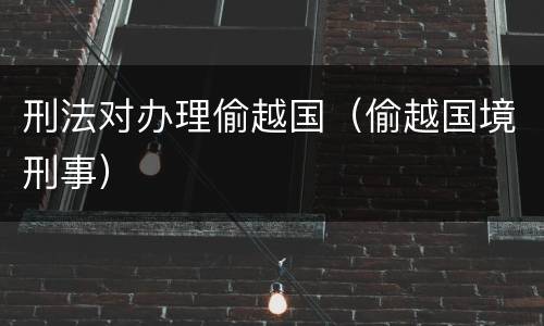 刑法对办理偷越国（偷越国境刑事）