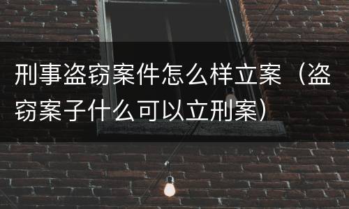 刑事盗窃案件怎么样立案（盗窃案子什么可以立刑案）