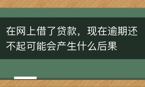 在网上借了贷款，现在逾期还不起可能会产生什么后果