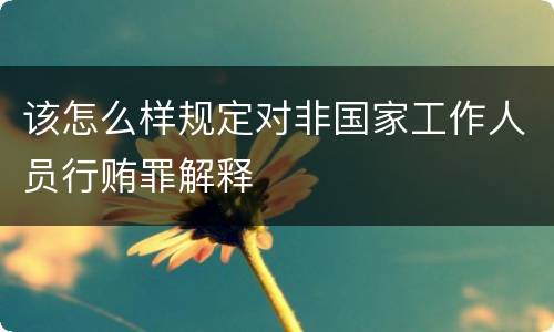 该怎么样规定对非国家工作人员行贿罪解释