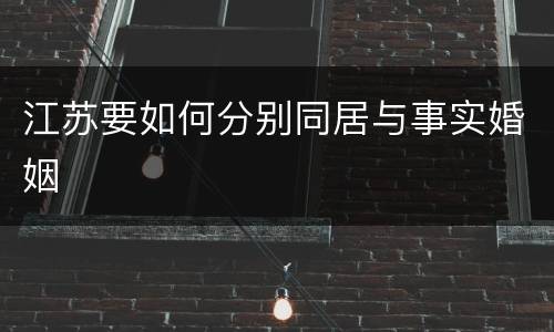 江苏要如何分别同居与事实婚姻