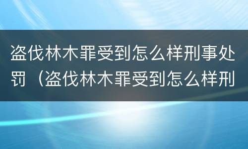 盗伐林木罪受到怎么样刑事处罚（盗伐林木罪受到怎么样刑事处罚怎么办）