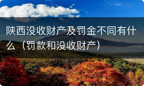 陕西没收财产及罚金不同有什么（罚款和没收财产）
