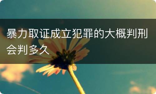 暴力取证成立犯罪的大概判刑会判多久