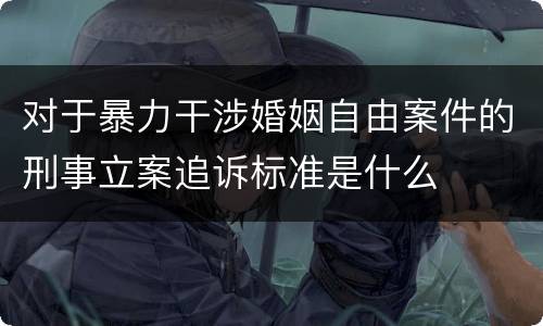 对于暴力干涉婚姻自由案件的刑事立案追诉标准是什么