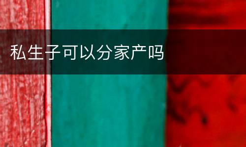 私生子可以分家产吗