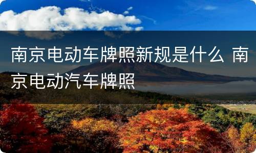 南京电动车牌照新规是什么 南京电动汽车牌照
