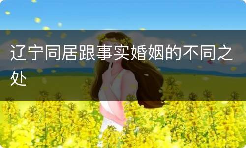 辽宁同居跟事实婚姻的不同之处