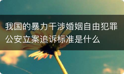 我国的暴力干涉婚姻自由犯罪公安立案追诉标准是什么