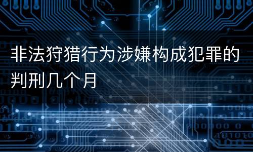 非法狩猎行为涉嫌构成犯罪的判刑几个月