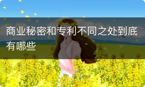 商业秘密和专利不同之处到底有哪些