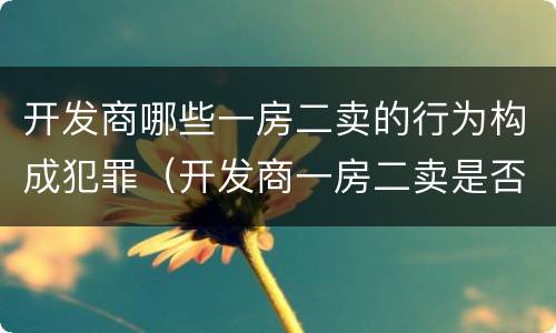 开发商哪些一房二卖的行为构成犯罪（开发商一房二卖是否构成犯罪）