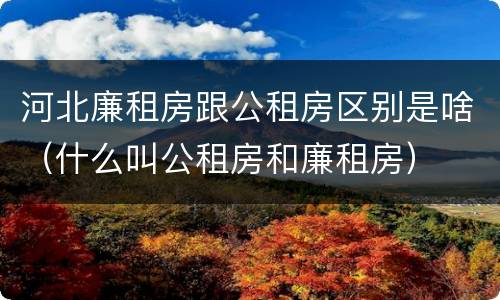 河北廉租房跟公租房区别是啥（什么叫公租房和廉租房）