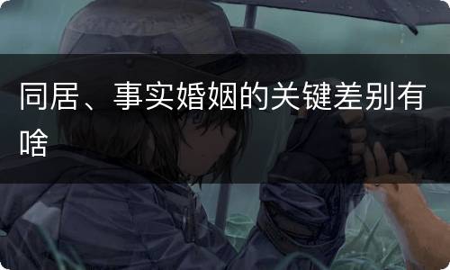 同居、事实婚姻的关键差别有啥
