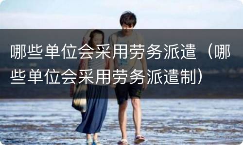 哪些单位会采用劳务派遣（哪些单位会采用劳务派遣制）